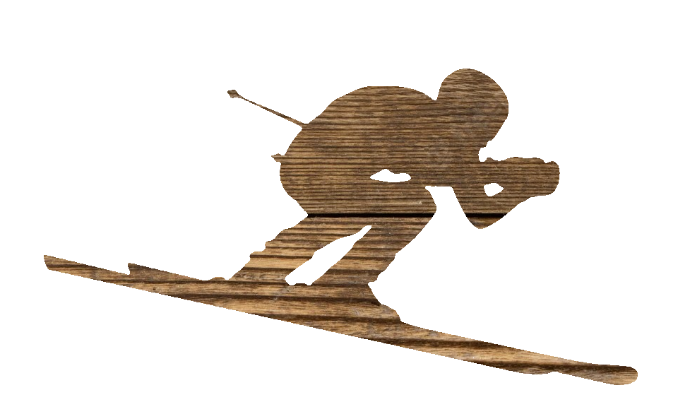 skieur
